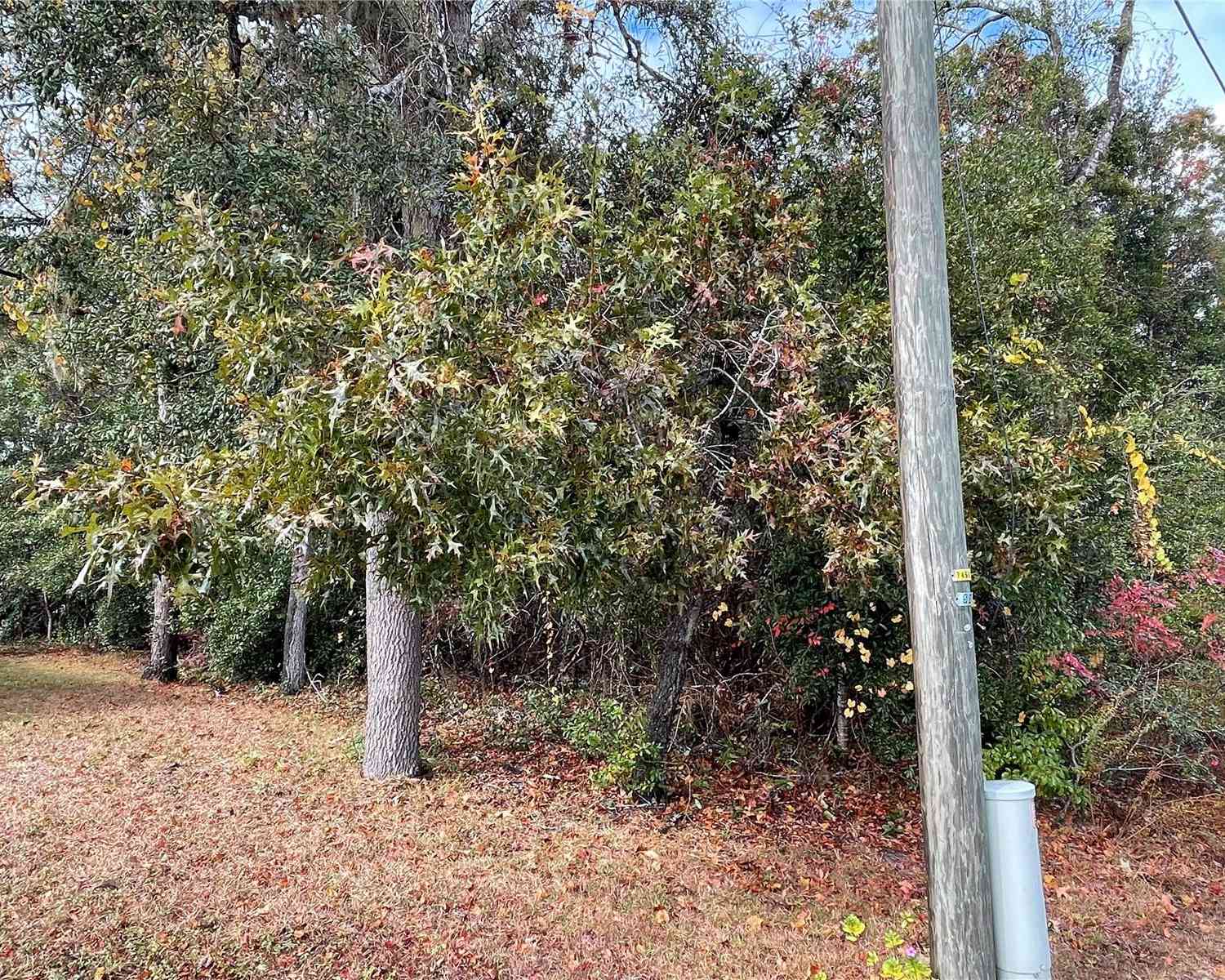 Lot 37 SE 92nd Terrace, SUMMERFIELD, Florida image 11