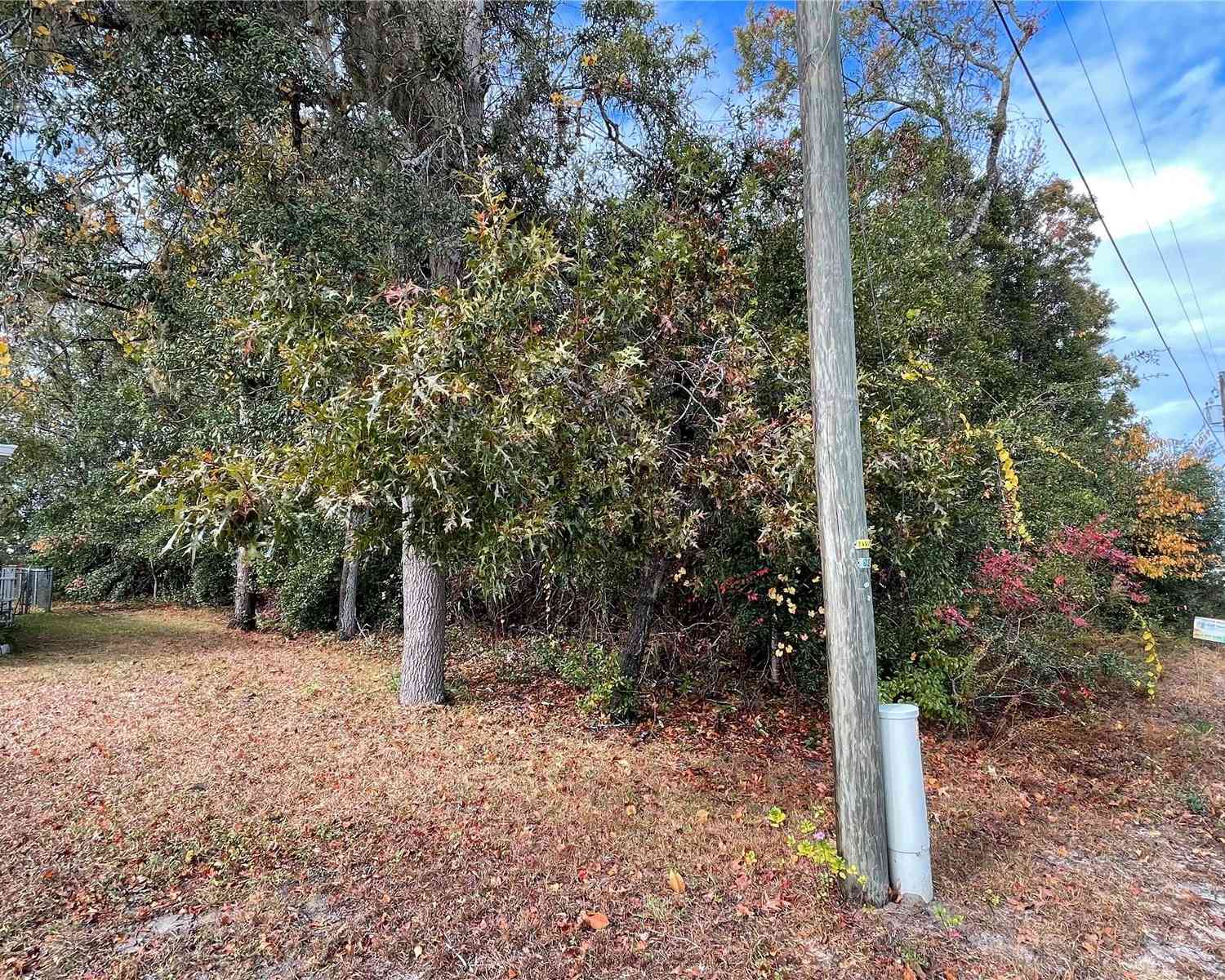 Lot 37 SE 92nd Terrace, SUMMERFIELD, Florida image 5