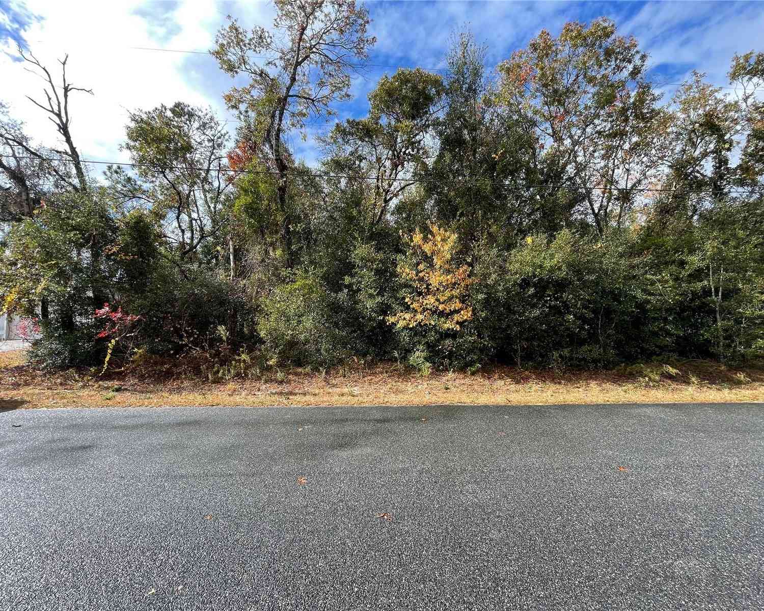 Lot 37 SE 92nd Terrace, SUMMERFIELD, Florida image 12