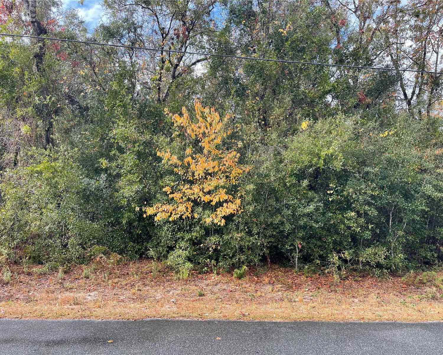 Lot 37 SE 92nd Terrace, SUMMERFIELD, Florida image 1