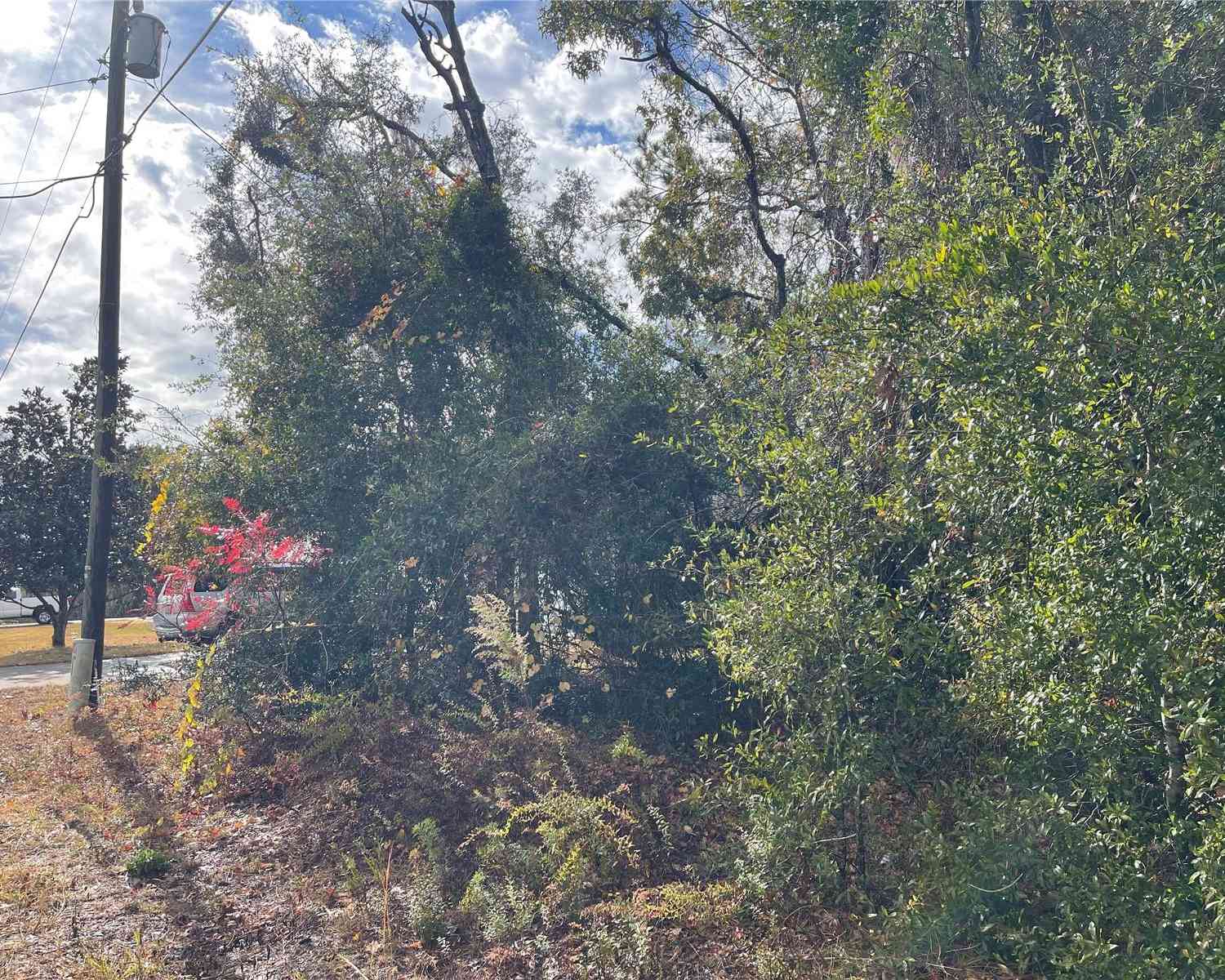 Lot 37 SE 92nd Terrace, SUMMERFIELD, Florida image 4