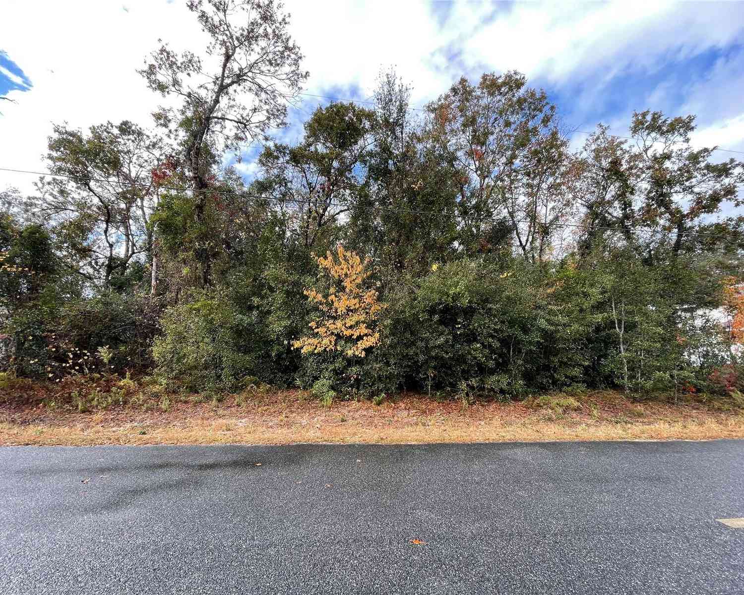 Lot 37 SE 92nd Terrace, SUMMERFIELD, Florida image 2
