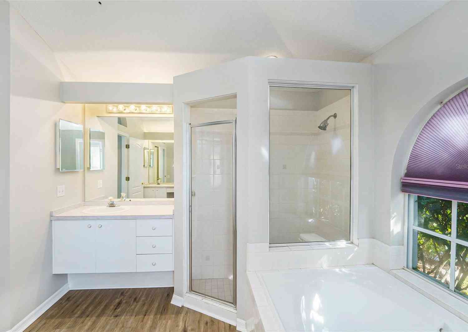 8929 Cashella Court, TRINITY, Florida image 16