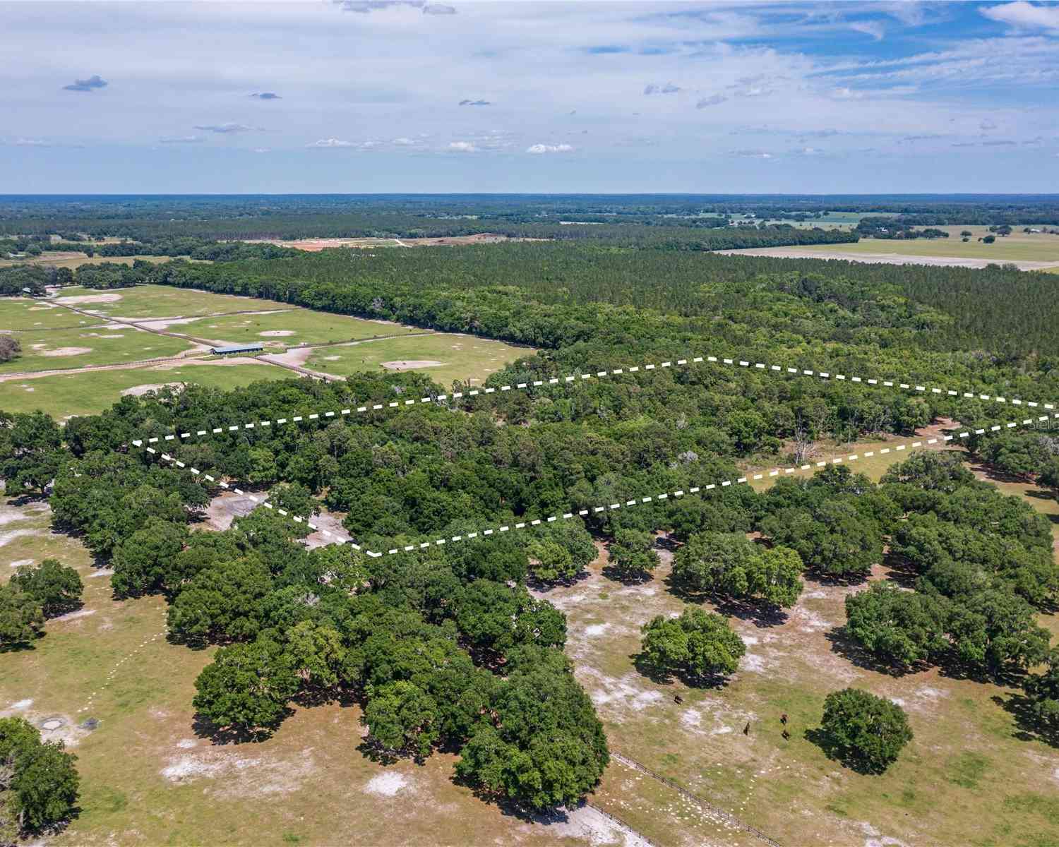 SE 199th Terrace, MORRISTON, Florida image 7