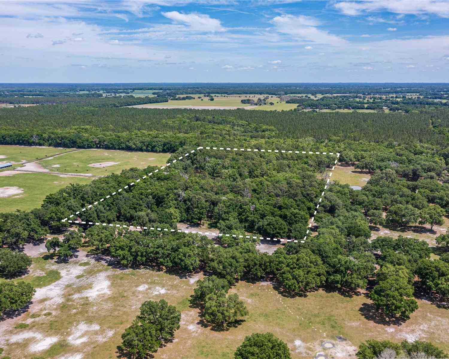 SE 199th Terrace, MORRISTON, Florida image 9