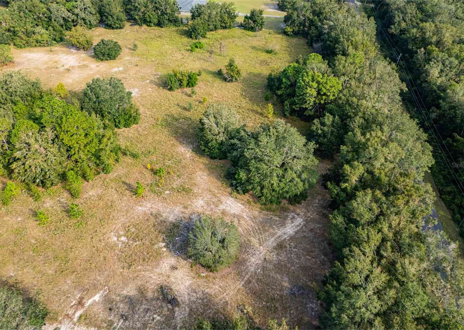 Se 80th Ave, SUMMERFIELD, Florida image 7