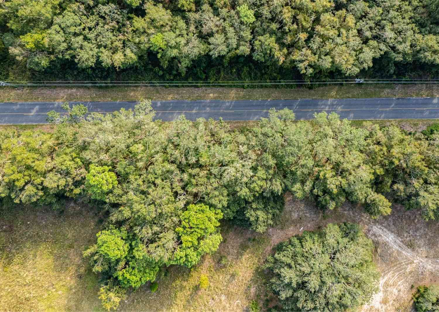 Se 80th Ave, SUMMERFIELD, Florida image 10