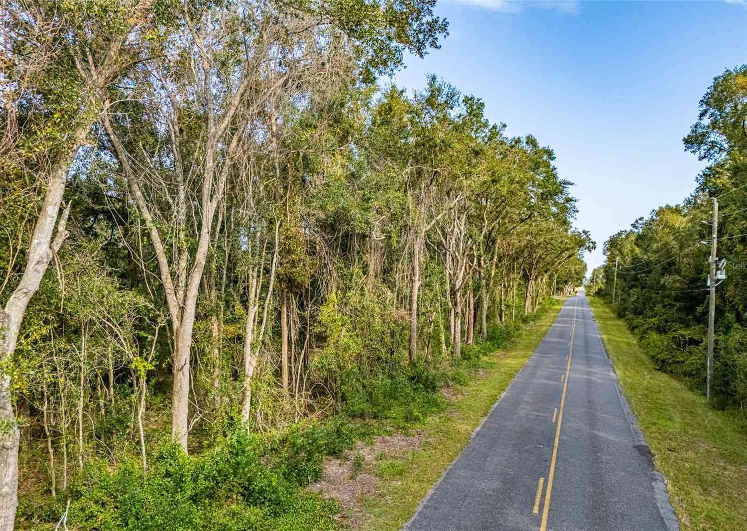 Se 80th Ave, SUMMERFIELD, Florida image 12