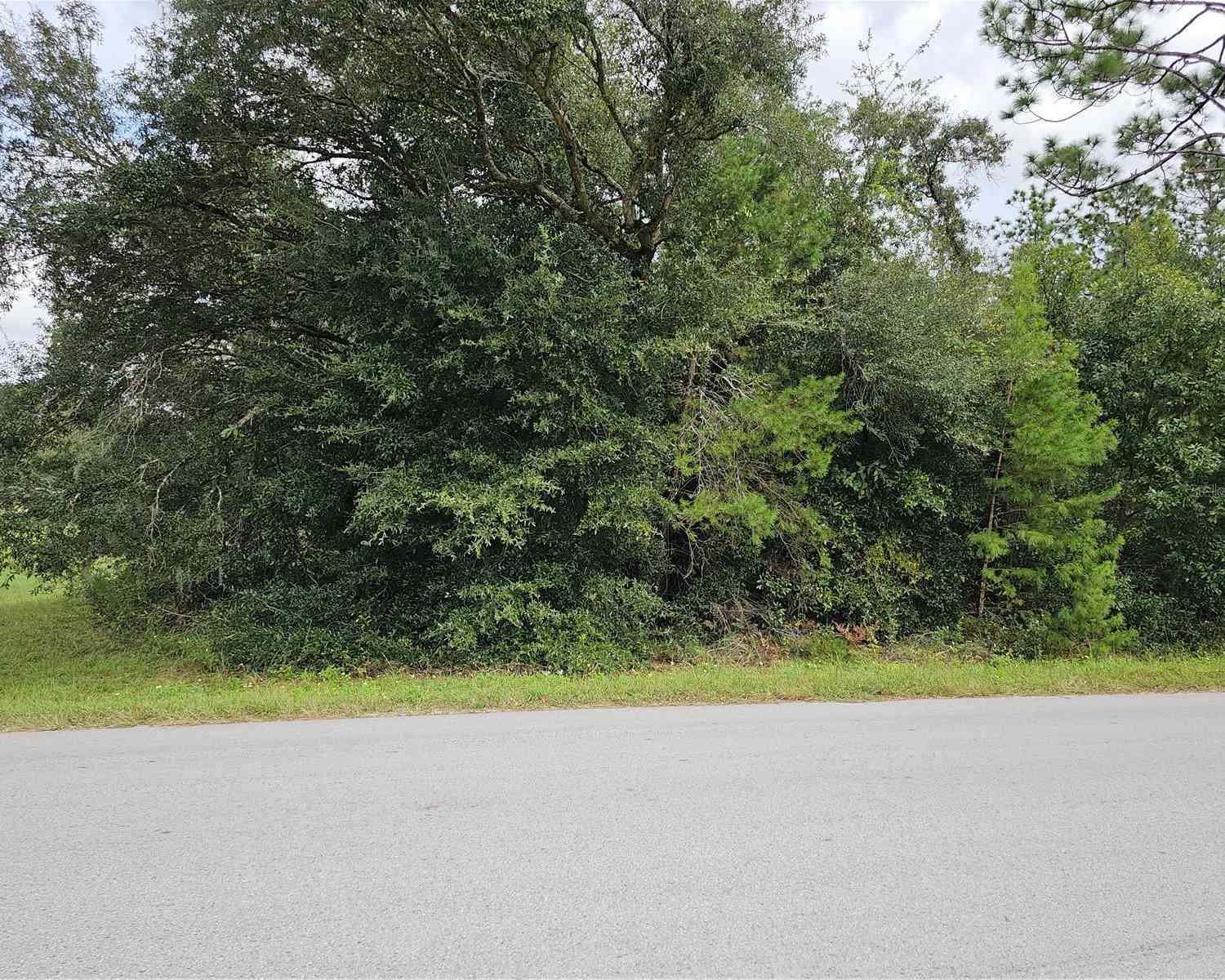 Lot 13 SW 156th Court, OCALA, Florida image 1