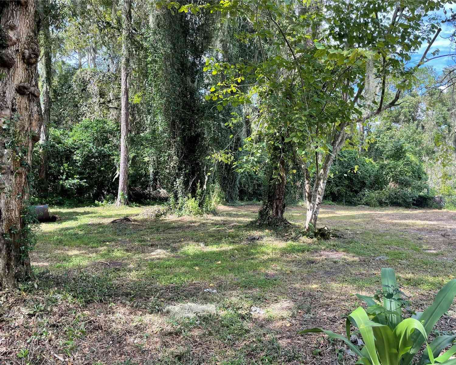 2248 SE 43rd Terrace, GAINESVILLE, Florida image 16