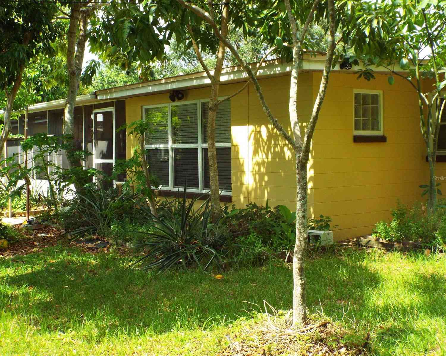 920 Gloriosa Avenue, WINTER PARK, Florida image 13