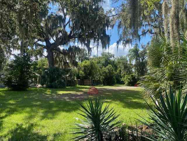 1010 Garden Drive, WINTER PARK, Florida image 5