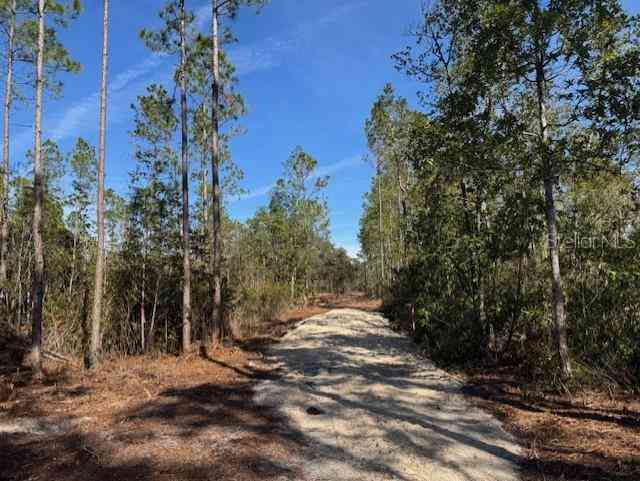 11901 Ne 150th Ave Road, FORT MC COY, Florida image 4