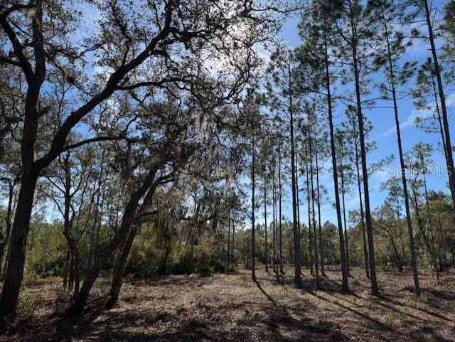 11901 Ne 150th Ave Road, FORT MC COY, Florida image 5