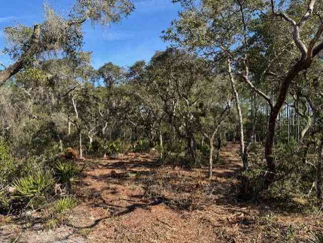 11901 Ne 150th Ave Road, FORT MC COY, Florida image 9