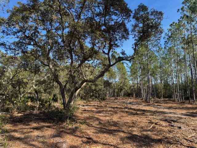 11901 Ne 150th Ave Road, FORT MC COY, Florida image 7