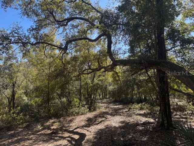 11999 NE 150th Ave Road, FORT MC COY, Florida image 8