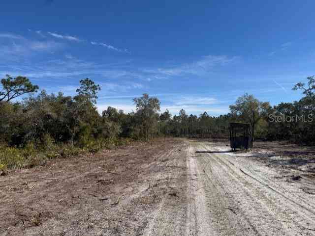 11999 NE 150th Ave Road, FORT MC COY, Florida image 18