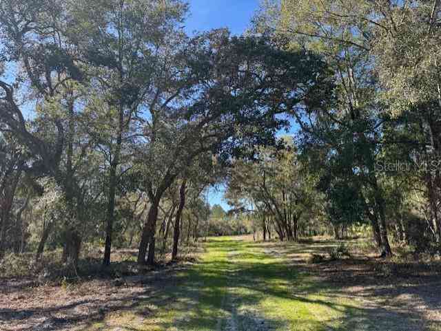 11999 NE 150th Ave Road, FORT MC COY, Florida image 9