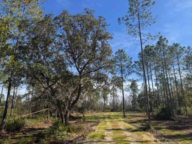 11999 NE 150th Ave Road, FORT MC COY, Florida image 2