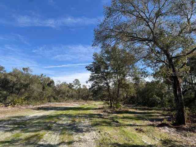 11999 NE 150th Ave Road, FORT MC COY, Florida image 6