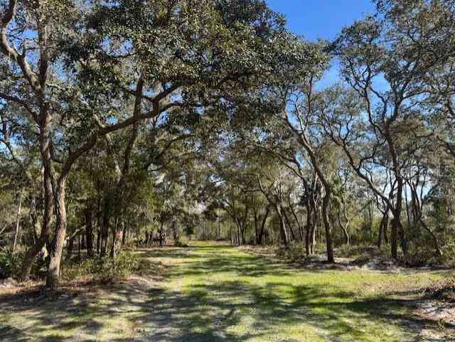 11999 NE 150th Ave Road, FORT MC COY, Florida image 4