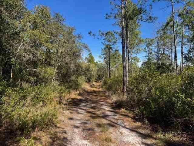 11999 NE 150th Ave Road, FORT MC COY, Florida image 17