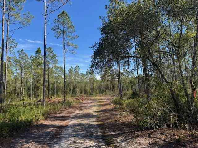 11999 NE 150th Ave Road, FORT MC COY, Florida image 13