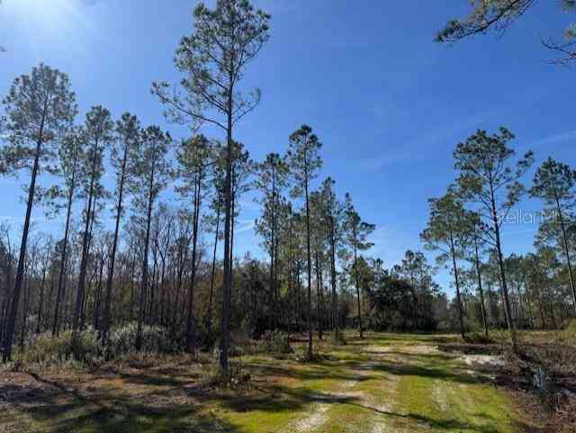 11999 NE 150th Ave Road, FORT MC COY, Florida image 12