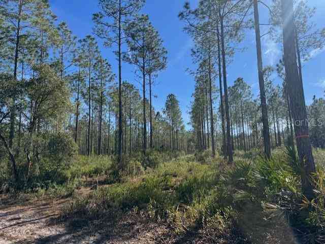 11999 NE 150th Ave Road, FORT MC COY, Florida image 15