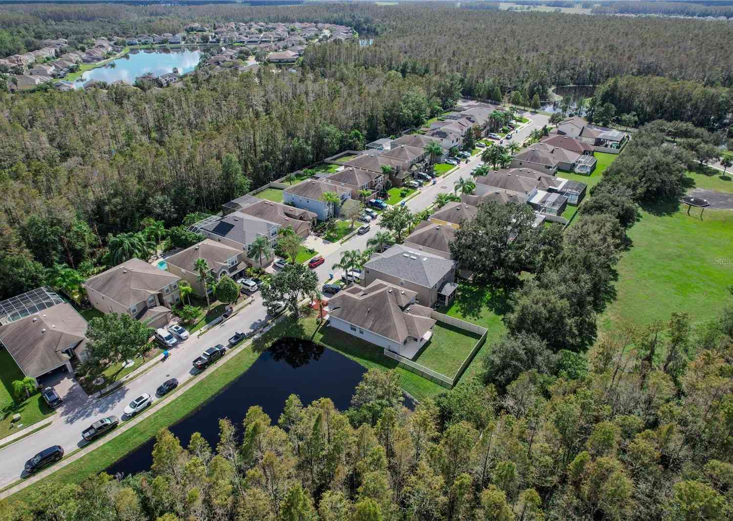 12847 Solola Way, TRINITY, Florida image 44