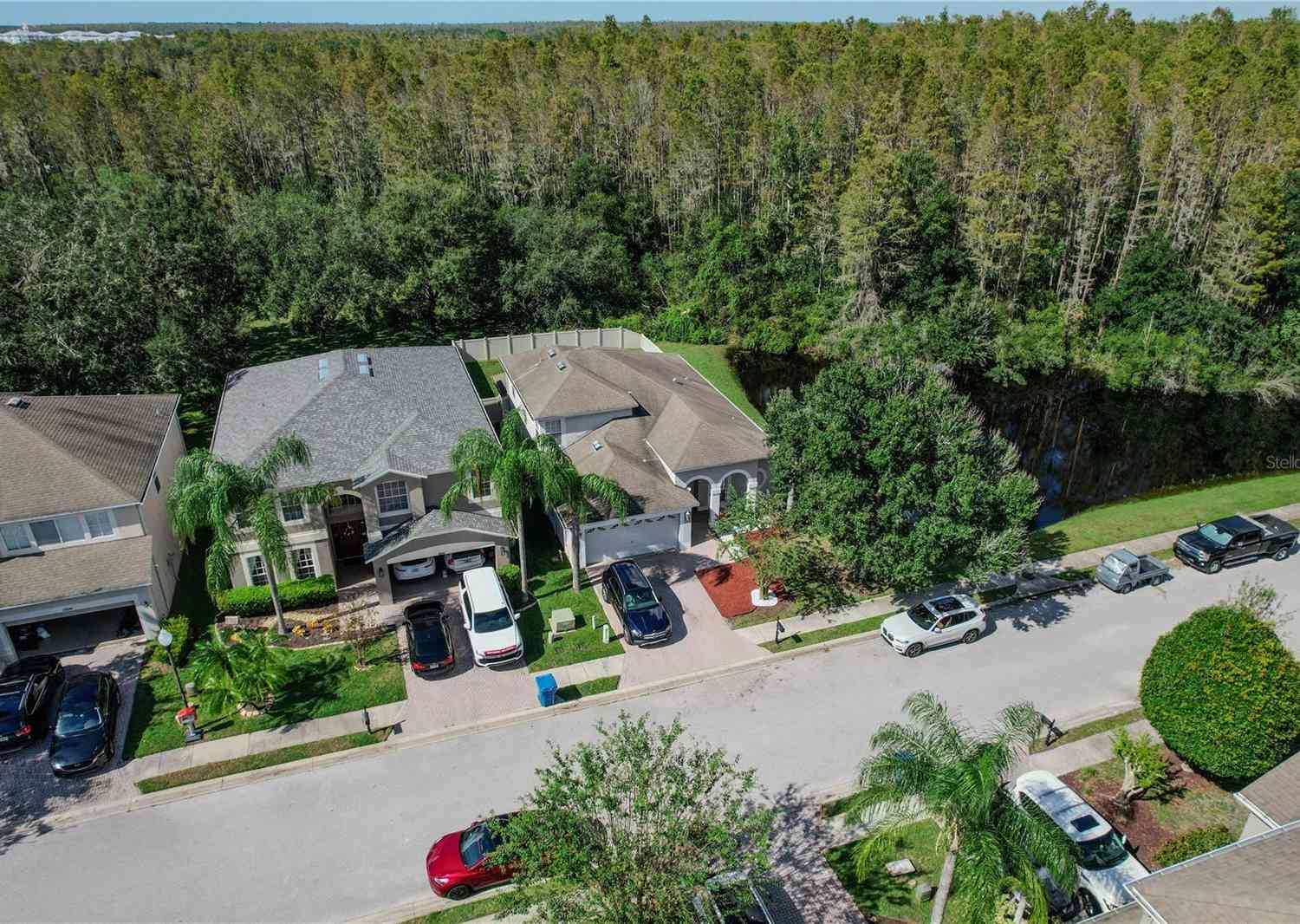 12847 Solola Way, TRINITY, Florida image 43