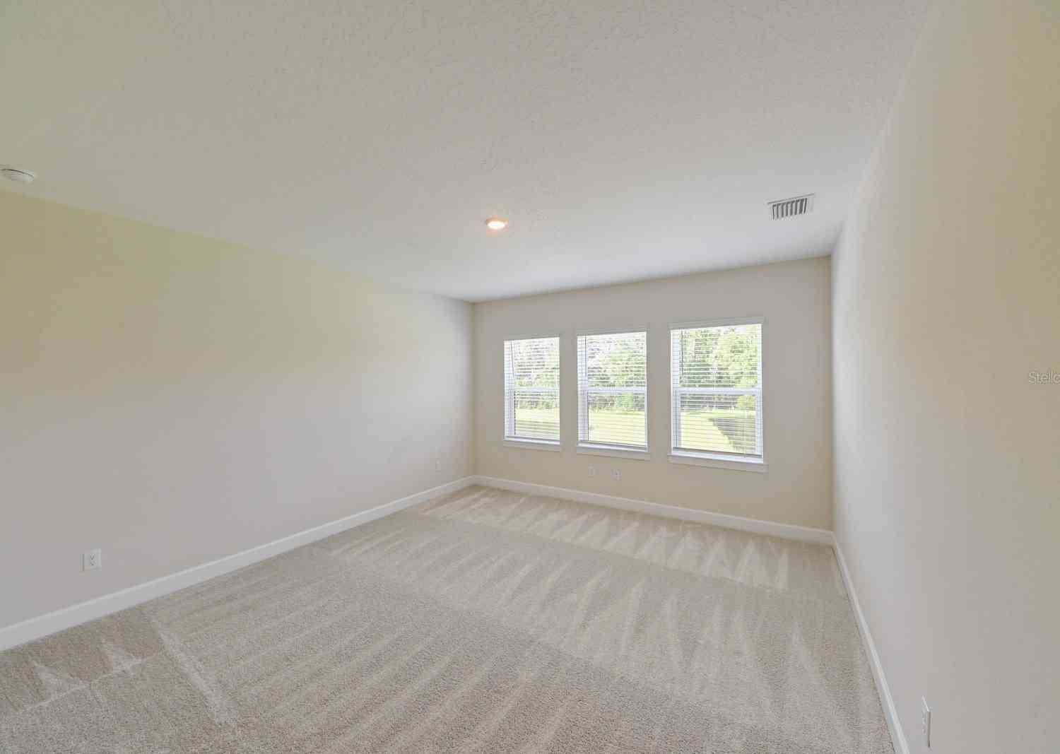33750 Ocean Spray Lane, Wesley Chapel, Florida image 47