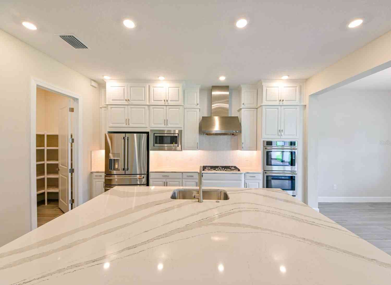 33750 Ocean Spray Lane, Wesley Chapel, Florida image 6