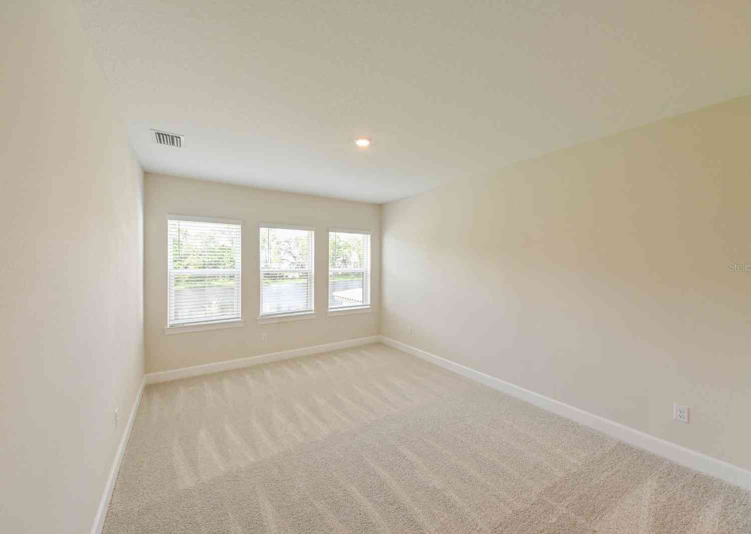 33750 Ocean Spray Lane, Wesley Chapel, Florida image 39