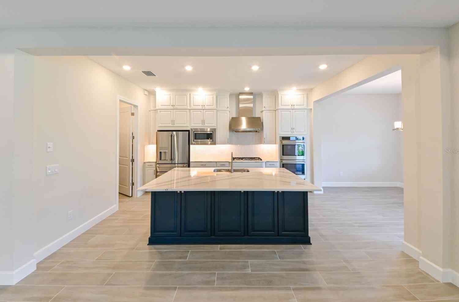 33750 Ocean Spray Lane, Wesley Chapel, Florida image 5