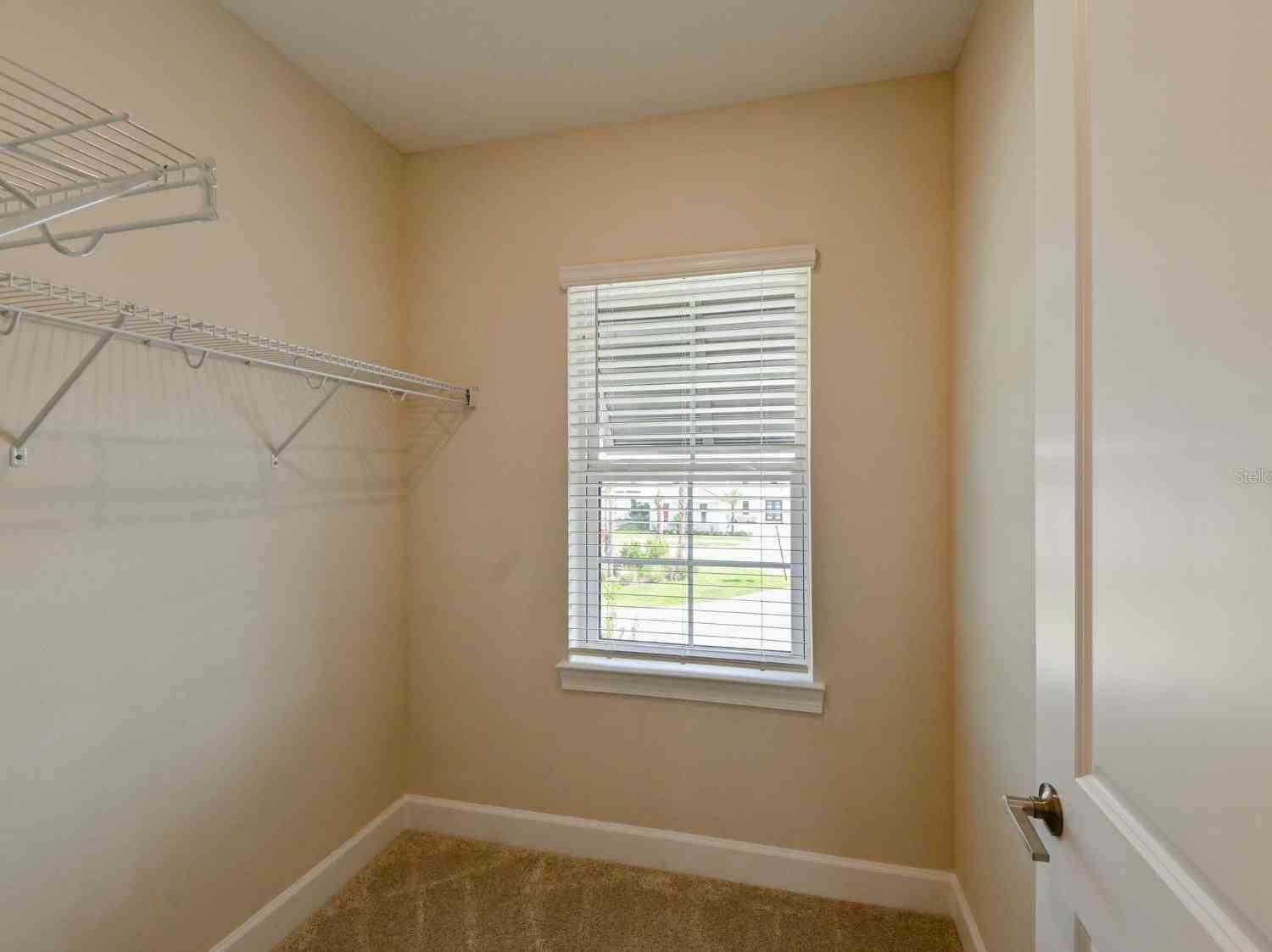 33750 Ocean Spray Lane, Wesley Chapel, Florida image 44