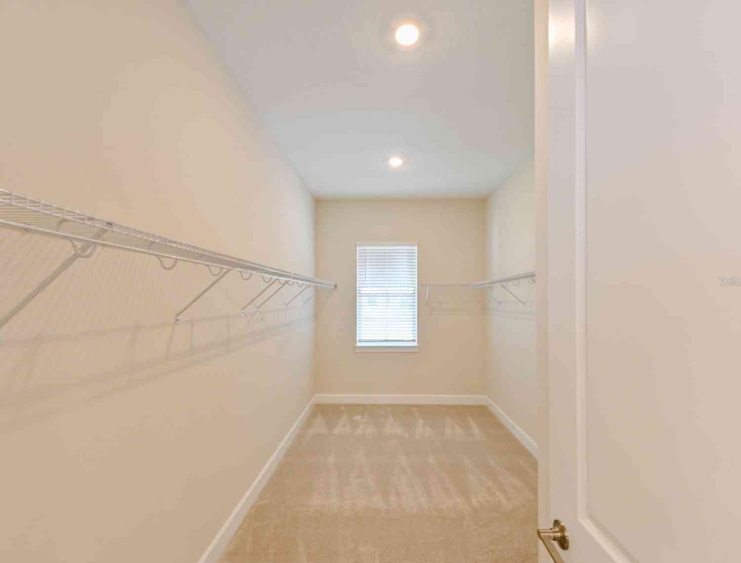 33750 Ocean Spray Lane, Wesley Chapel, Florida image 30