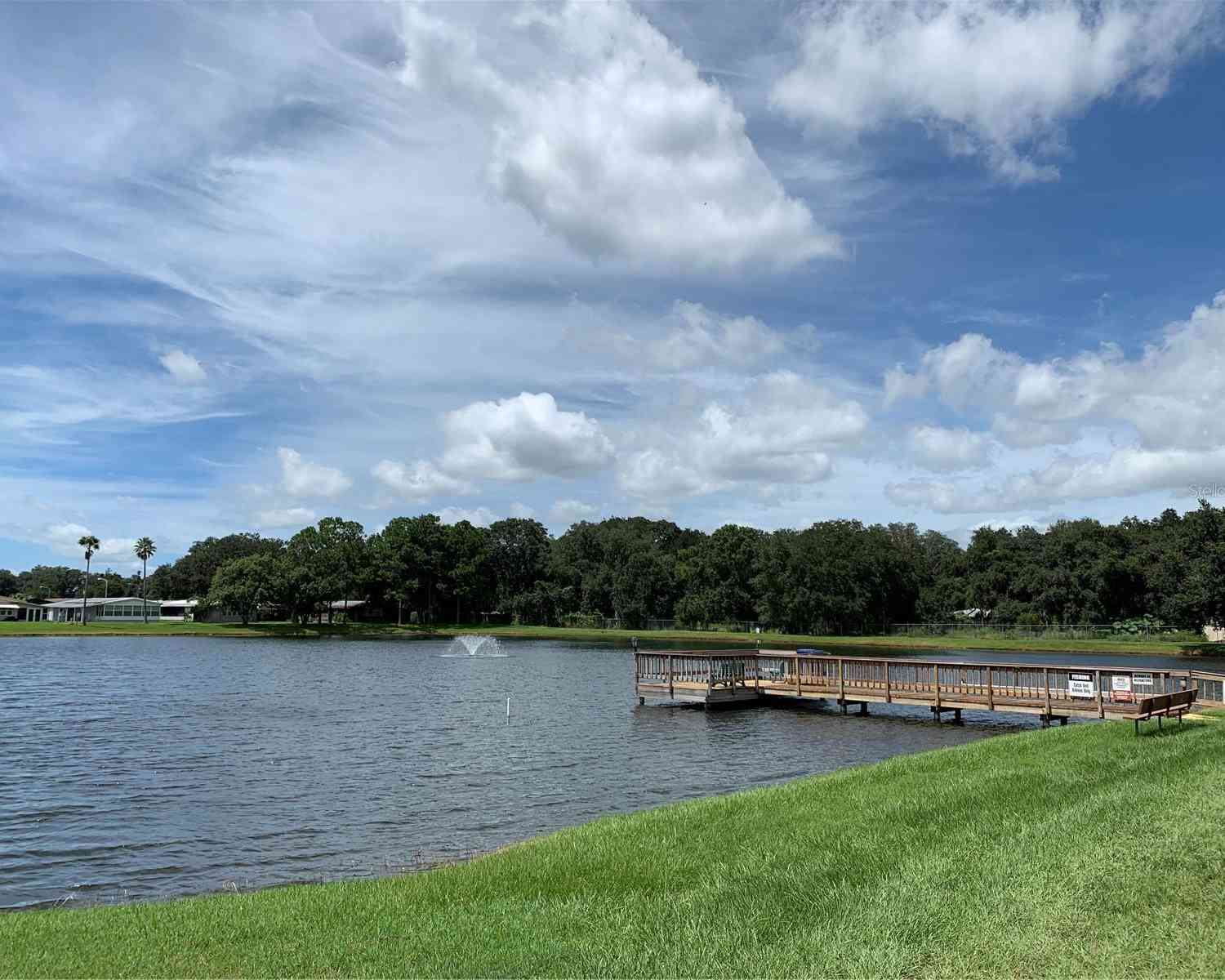 34303 Lodge Drive, Wesley Chapel, Florida image 22