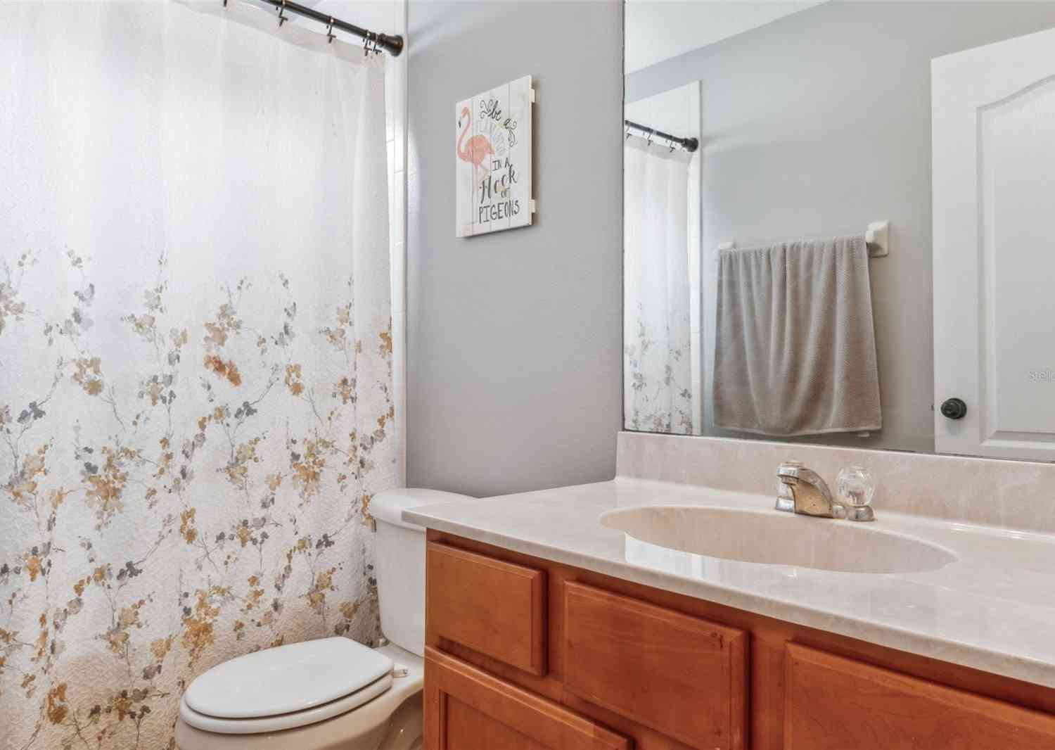 30552 Latourette Drive, Wesley Chapel, Florida image 23