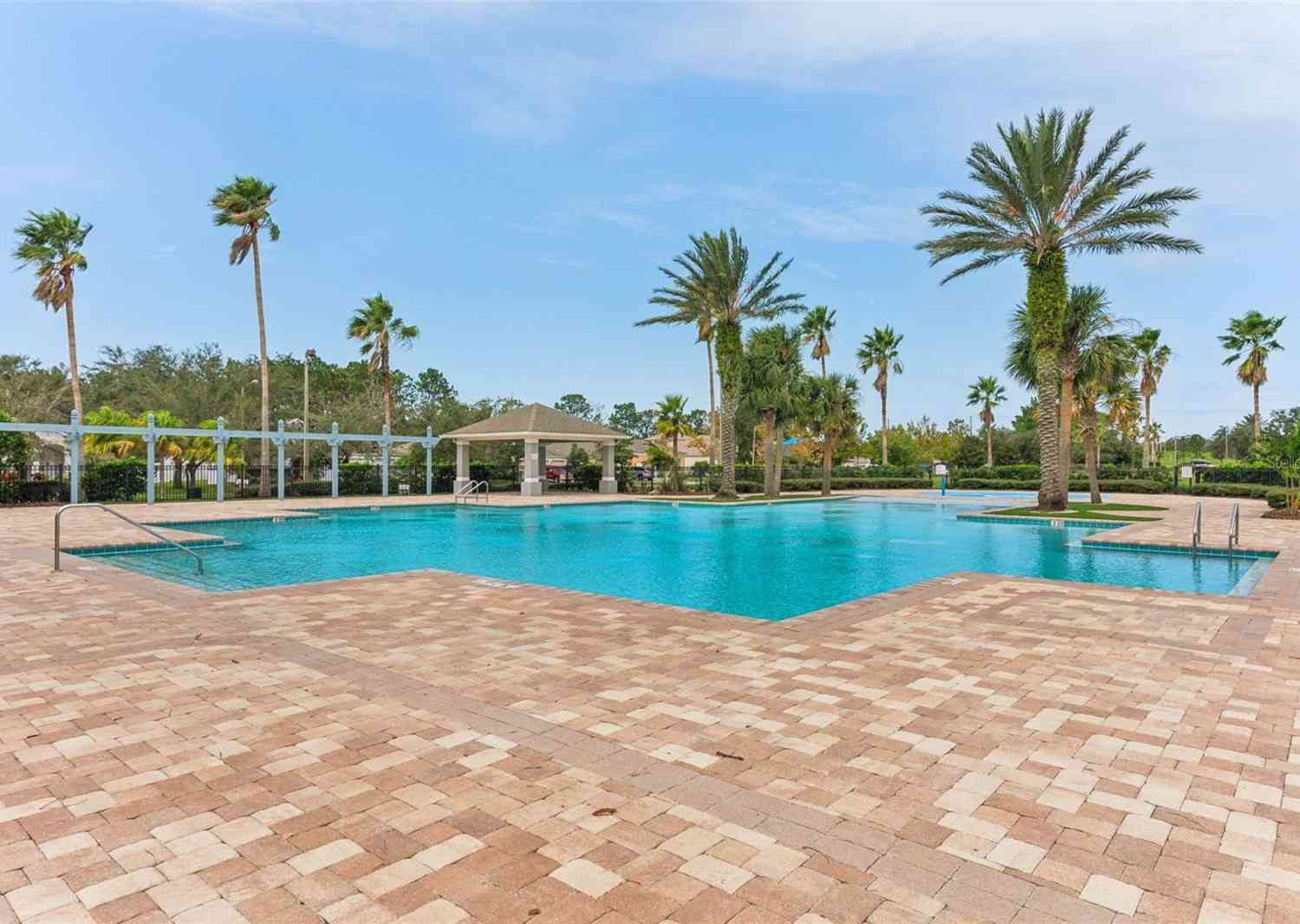 30552 Latourette Drive, Wesley Chapel, Florida image 26
