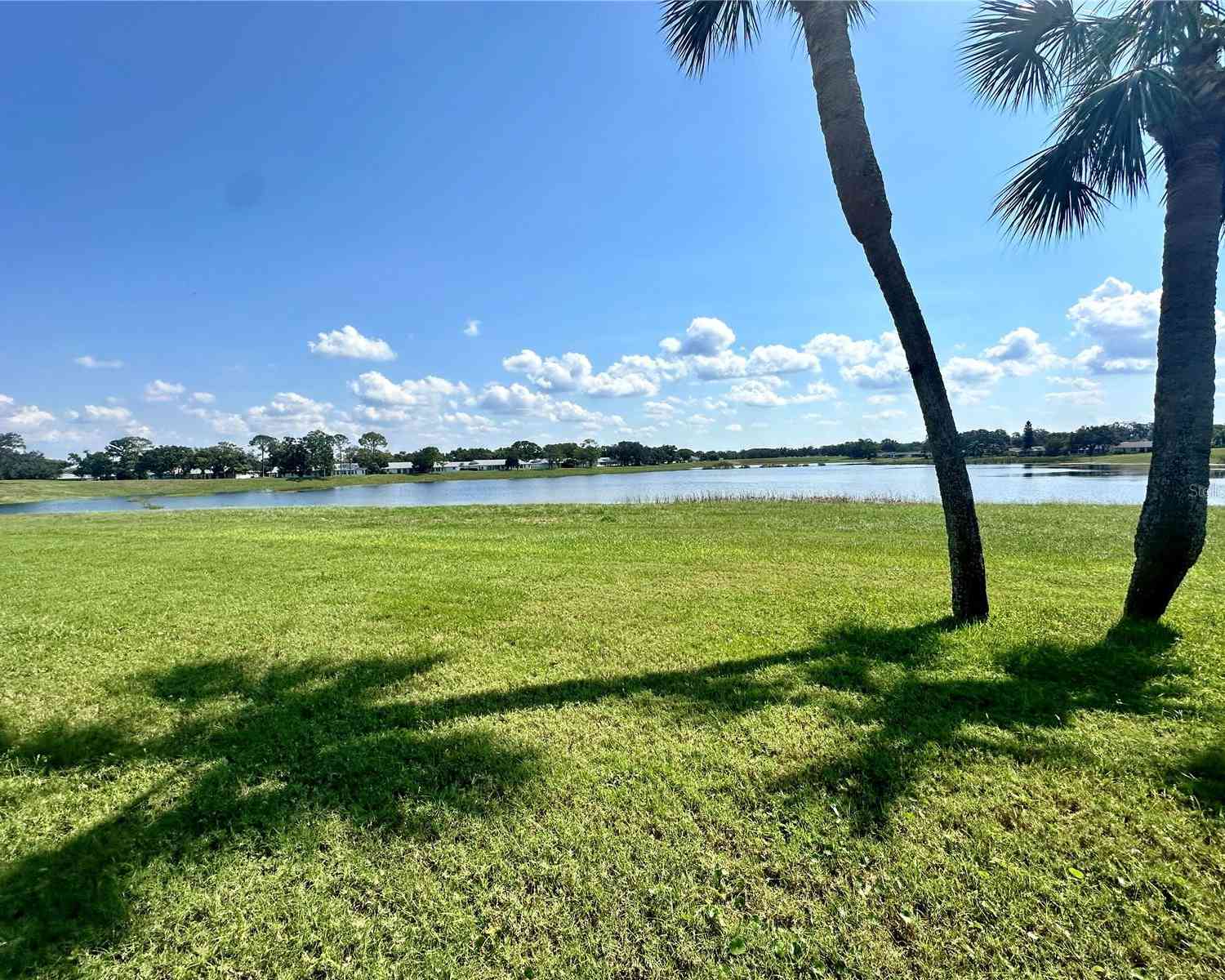 11120 Carriage Hill Drive #2, PORT RICHEY, Florida image 3