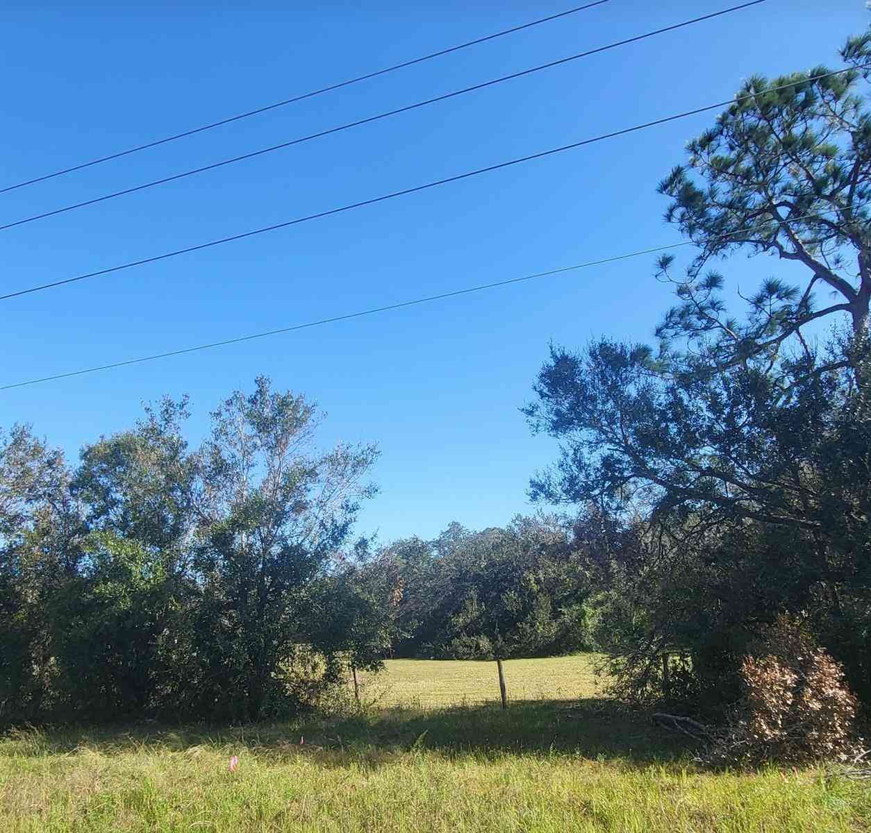 15570 County Road 675, PARRISH, Florida image 1