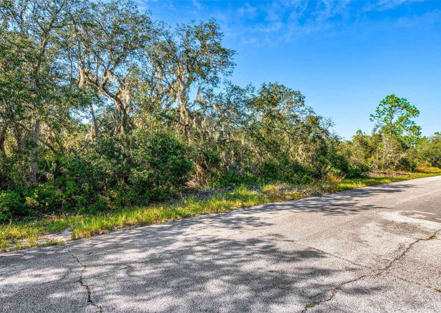 1240 Caribbean Drive, POINCIANA, Florida image 9