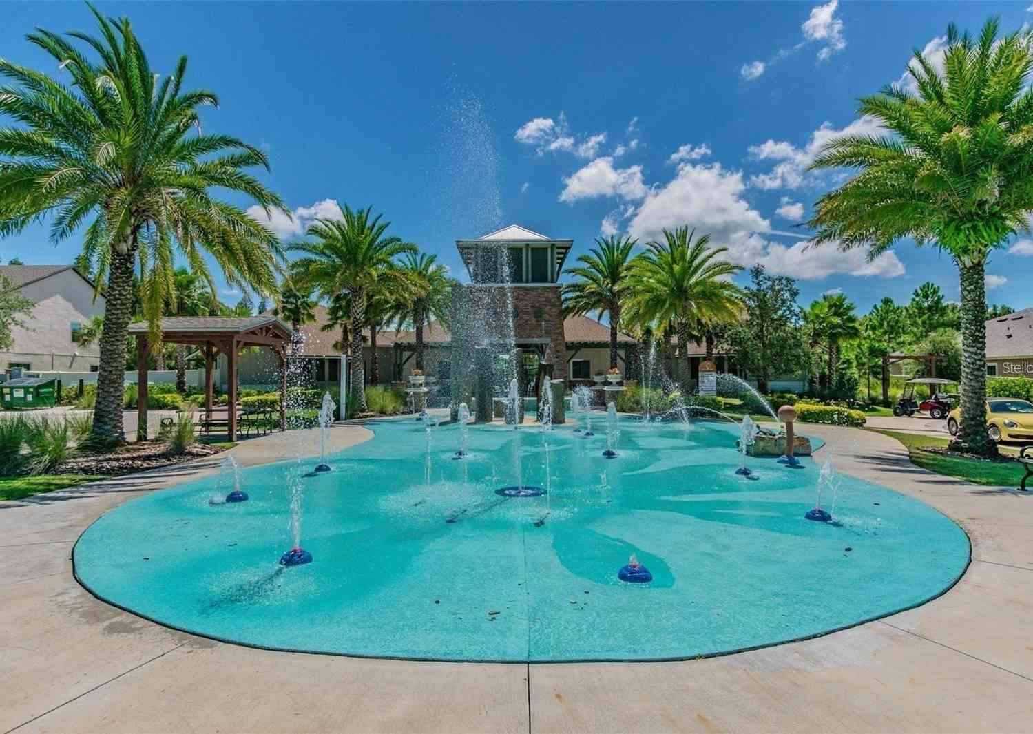 1955 Hovenweep Road, Wesley Chapel, Florida image 28