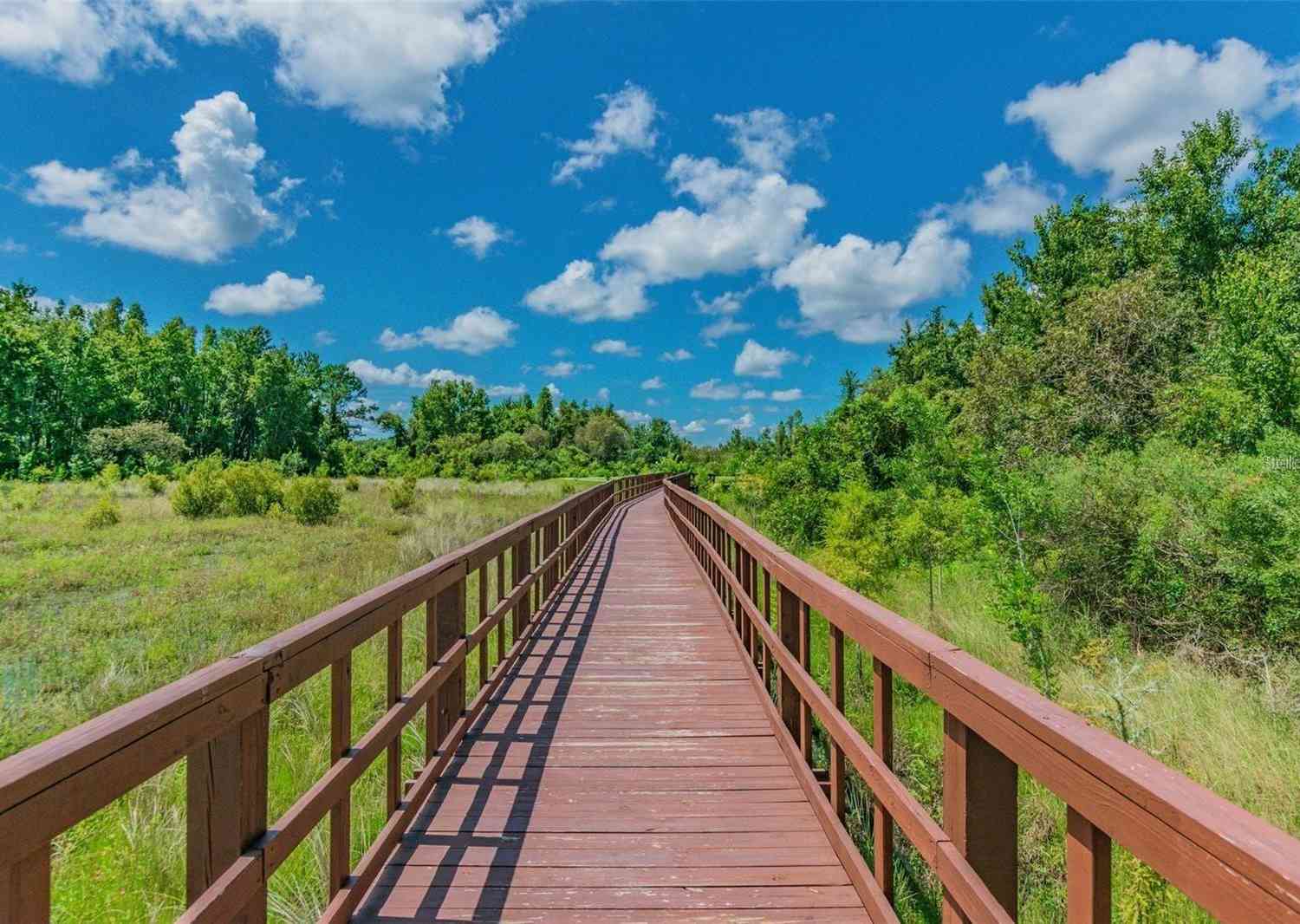 1955 Hovenweep Road, Wesley Chapel, Florida image 30
