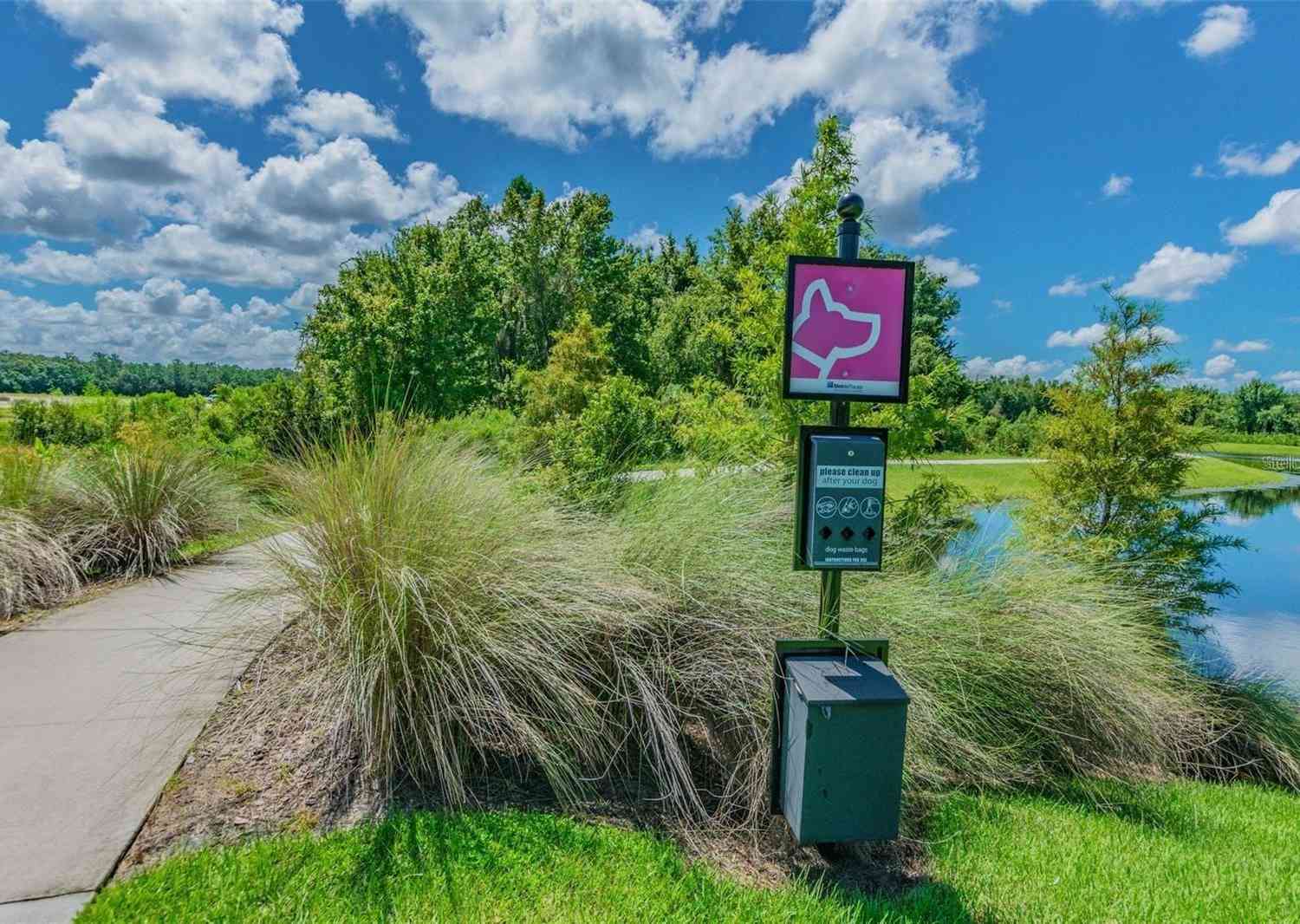 1955 Hovenweep Road, Wesley Chapel, Florida image 32