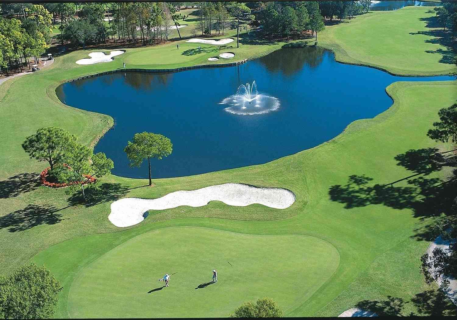 36750 Us Highway 19 #21212, PALM HARBOR, Florida image 35