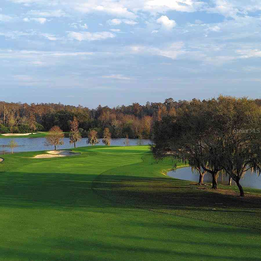 36750 Us Highway 19 #21212, PALM HARBOR, Florida image 37