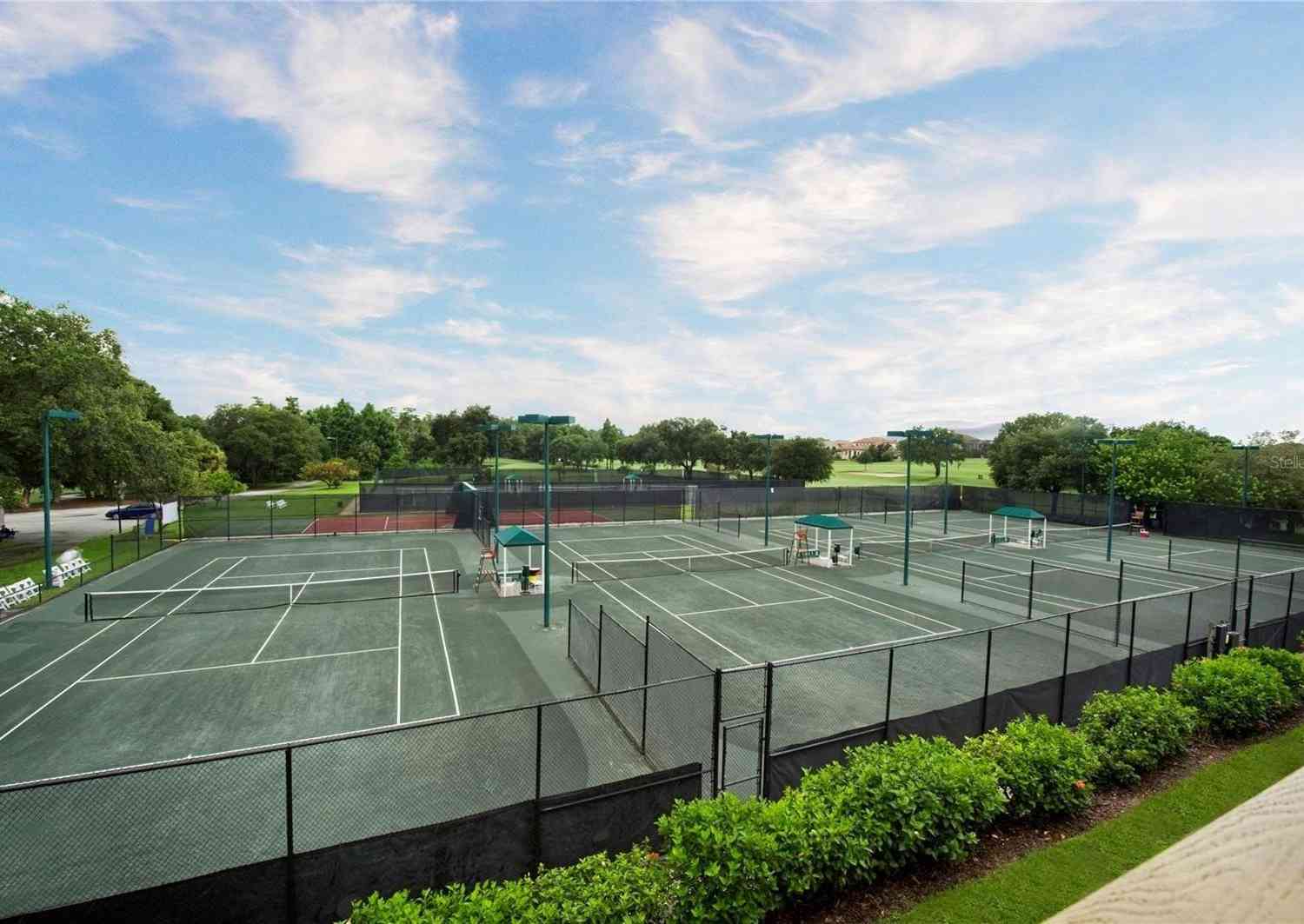 36750 Us Highway 19 #21212, PALM HARBOR, Florida image 33